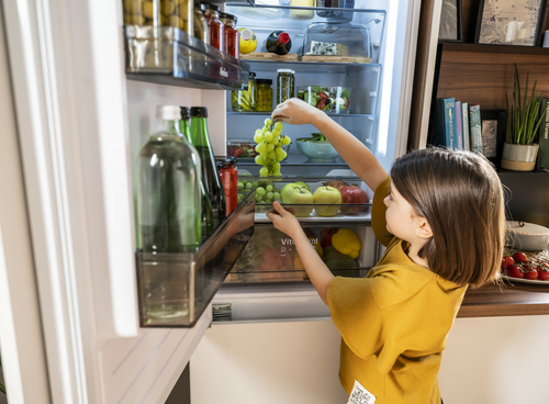 Pojemnik na warzywa i owoce