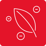 SmellFree - Generator ozonu