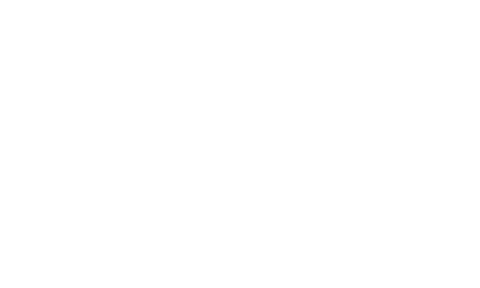 Logo Amica logo amica